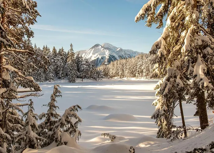 إيفوس سونينبنسيون لوتاش