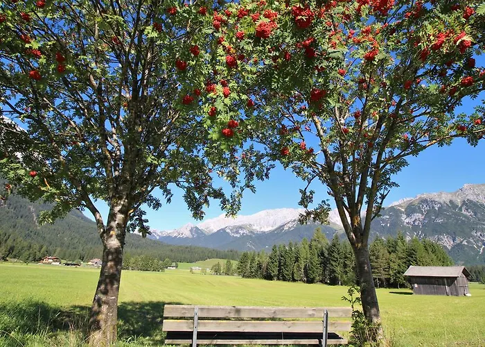 إيفوس سونينبنسيون