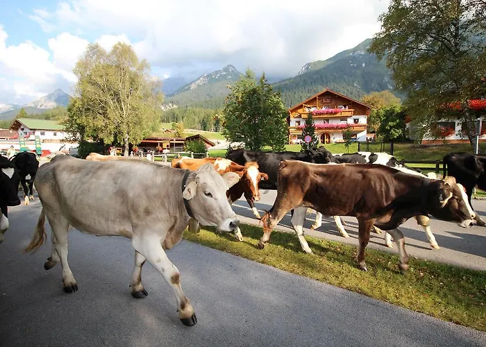 بيت ضيافة إيفوس سونينبنسيون لوتاش